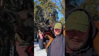 ️Dog lover