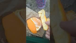 best way to peel an orange