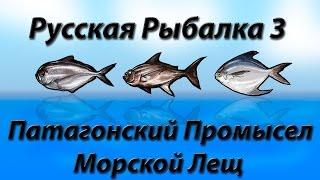 Патагонский Промысел Морской Лещ