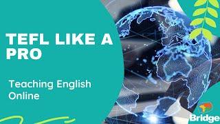 TEFL LIKE A PRO: Sample Interview with Student. Teaching English Online.