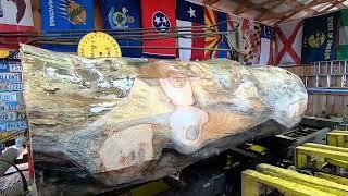 sawing a monster pine log # 408