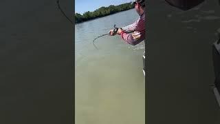 NETTING A SOLID BARRA! Fishing Australia With Raptor Lures NT #fishing