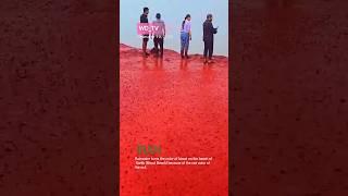 Blood Red Beach: Rainwater Turns Iranian Shore into Eerie Red Landscape