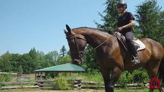 20 Acre Equestrian Property in Langley, BC - Amy Brattebo Equestrian Acreage Realtor