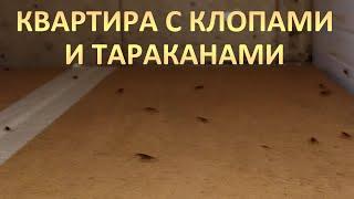 Уничтожение клопов и тараканов в квартире в Москве