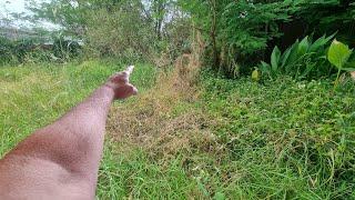 Mowing The Most SHOCKING OVERGROWN Lawn From HELL