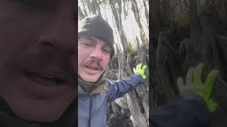 Love to learn I heard here you go sha #learning #teacher #louisiana #cajundan #shabaw #earth