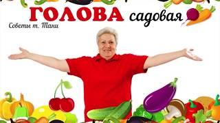 Голова садовая - Продолжаем выращивать розы