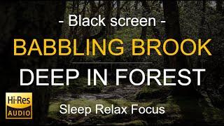 Black Screen | Babbling Brook Deep in Forest I Trickling Creek | Water Sound | Relaxing Nature Video