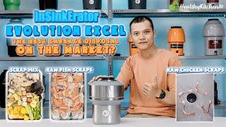 InSinkErator Evolution Excel 1 HP Review - Shouldit Garbage Disposal Series