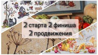 229. 2 финиша.2 старта. 2 продвижения