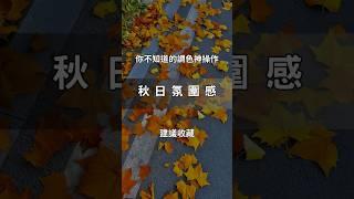 秋天拍的照片沒有氛圍感?快來試試這個調色方式！