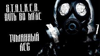 S.T.A.L.K.E.R.: Путь во мгле Прохождение На Русском #7 — ТУМАННЫЙ ЛЕС