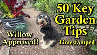 50+ Key Vegetable Gardening Tips for Old & New Gardeners: Many Topics Covered - Use the Timestamps