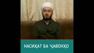 НАСИХАТ БА ЧАВОНОН