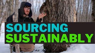 Sourcing Sustainable Wood