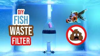 Ditch Fish Waste with This Genius DIY Aquarium Filter Hack!