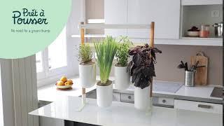 Modulo: Your versatile, connected indoor garden !