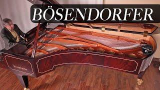 Bösendorfer Rare Senator Style Concert Grand Piano for Sale - LIVING PIANOS