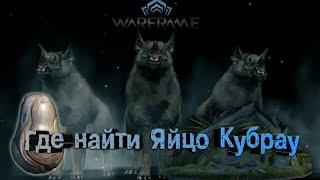 Warframe - Яйцо Кубрау где найти и как выбить - Как добыть яйцо Кубрау