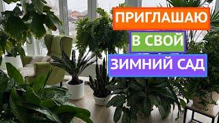 ПОКАЗЫВАЮ ВСЕ СВОИ КОМНАТНЫЕ РАСТЕНИЯ!🪴