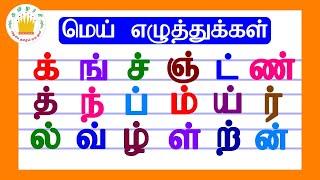 மெய் எழுத்துக்கள்|Mei Eluthukkal |Tamil Letters| Tamilarasi