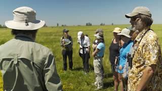 The California Naturalist Program: Community