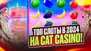 Cat Casino - Лучший Бонус Для Новых Игроков | Cat Casino Бонус За Регистрацию