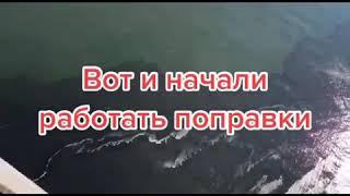 Камчатка. Экологическая катастрофа. Разлив нефти и уничтожение всего живого. Поправки в действии.