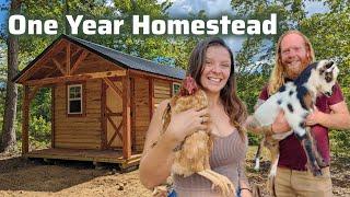 1 year on our Off-Grid Homestead in Tennessee