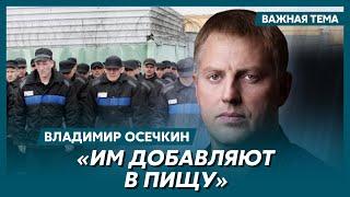 Осечкин о том, что дают русским зекам перед боем