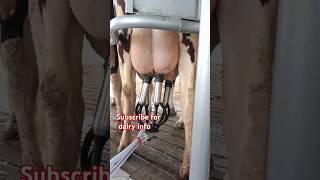 dairy farming in pakistan