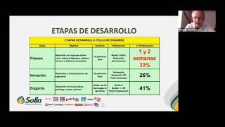 Webinar | Alimentación de pollo de engorde con énfasis en la crianza