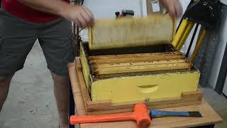 Extracting honey