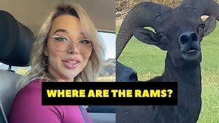 WE WANTED TO SEE THE RAMS 