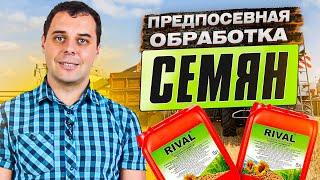 Предпосевная обработка семян. Препараты для предпосевной обработки семян пшеницы от ТД "КИССОН".