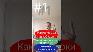 Какие марки автобусов больше всего выходят на линию в Красноярске || #1