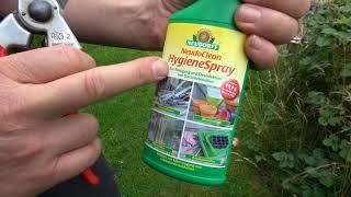 Neudorff Neudo Clean Hygiene Spray zum Schutz vor der Krankheitsübertragung von Pflanze zu Pflanze