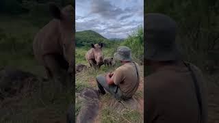 Mom and baby rhino visiting their protector