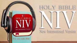 Holy Bible NIV Audio Version Free app instail now!