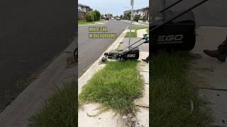 The Lawn Was Taking Over The Sidewalk! #satisfying #freemowfridays