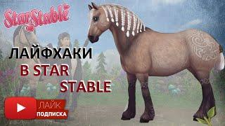 Лайфхаки в Star Stable Online | Духовная езда в Друидском загоне