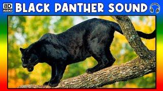  BLACK PANTHER SOUND - BLACK PANTHER SOUND EFFECT - SOUND OF BLACK PANTHER - NOISE OF BLACK PANTHER