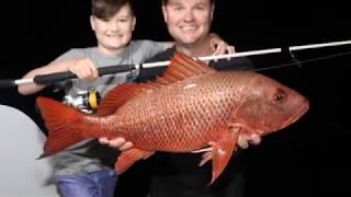 IFISH for Mangrove Jack in the Kimberley