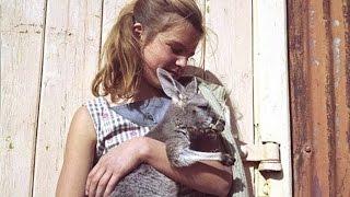 NFSA Film Australia Collection Stills Showreel