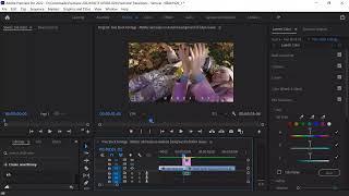 USing Motion Bro in Premiere Pro.