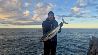 SHORE JIGGING BIG FALSE ALBACORE 9KG !! + ATLANTIC BONITO