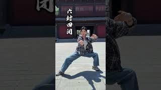一套简单的陈氏太极拳教给大家 #太极拳 #武术 #中华武术博大精深