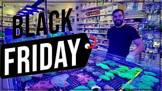 BLACK Friday Sale & Vlog Update