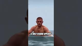  When Conor sees a wild Khabib #conormcgregor #khabib #ufc